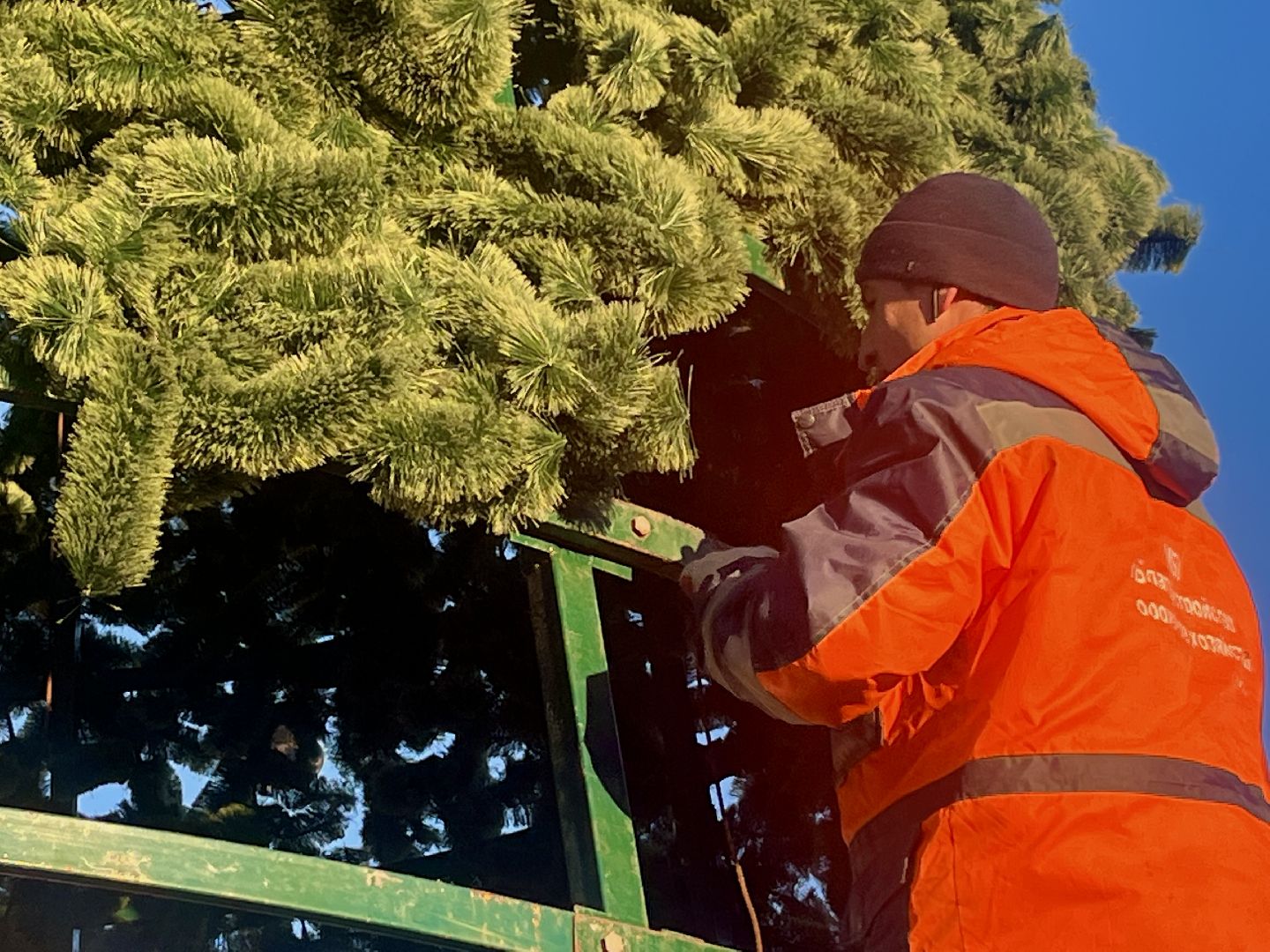 вертикальное видео, наро-фоминск, наро-фоминский городской округ, новый год, елка,вертикалка