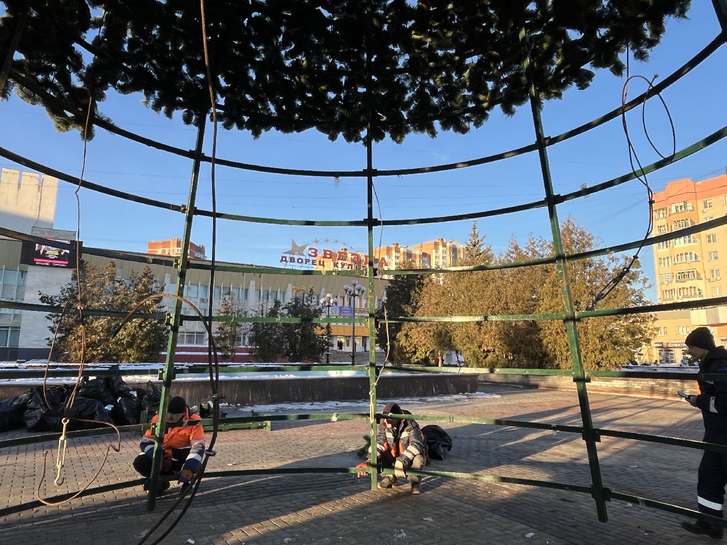 вертикальное видео, наро-фоминск, наро-фоминский городской округ, новый год, елка,вертикалка