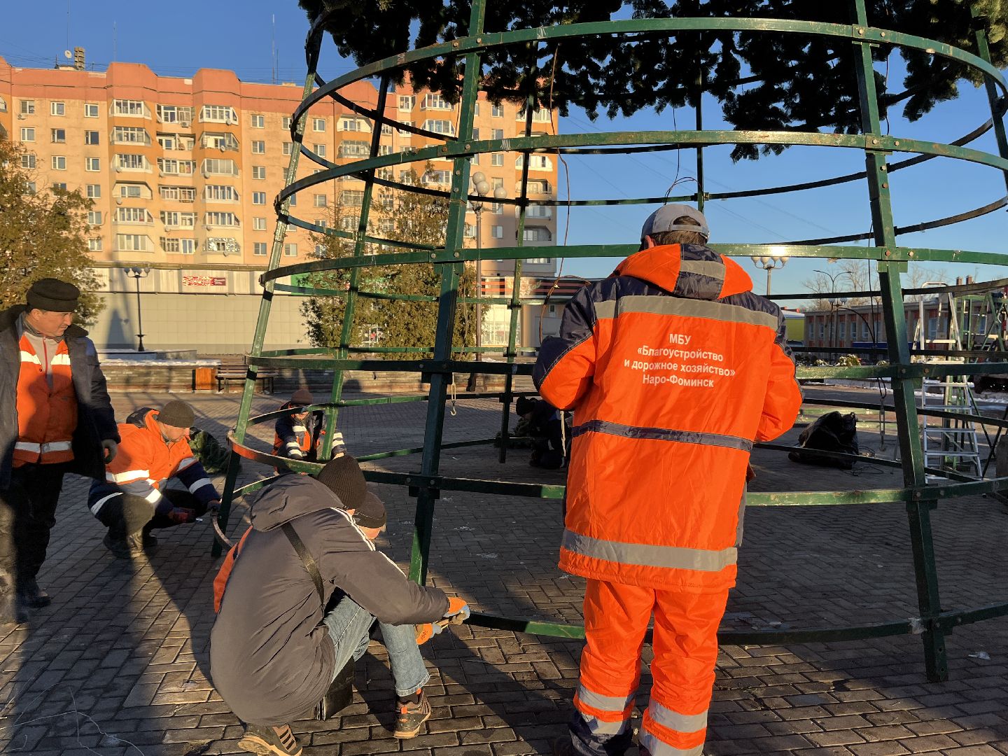 вертикальное видео, наро-фоминск, наро-фоминский городской округ, новый год, елка,вертикалка