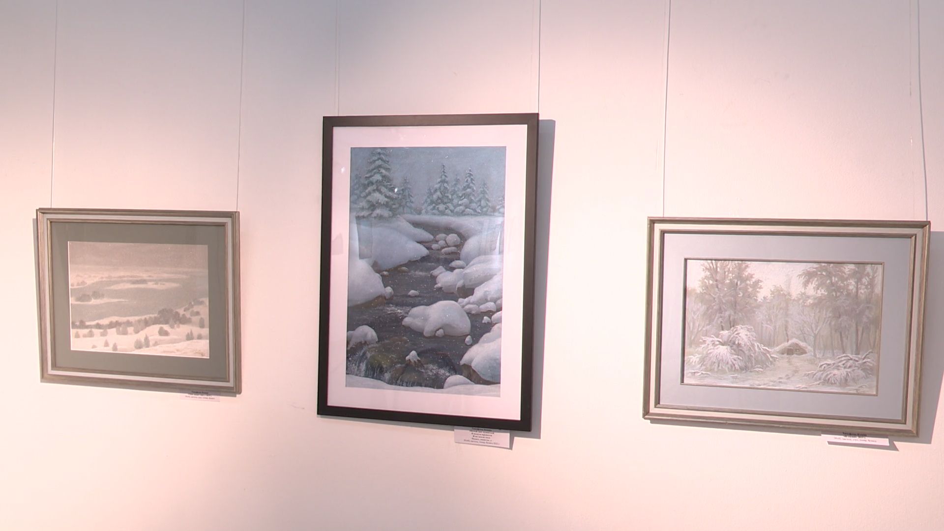 Реутов, вертикалки, культура, музей, выставка, картины, пейзаж, натюрмонт, Ксения Тимофеева, художник Тимофеева,