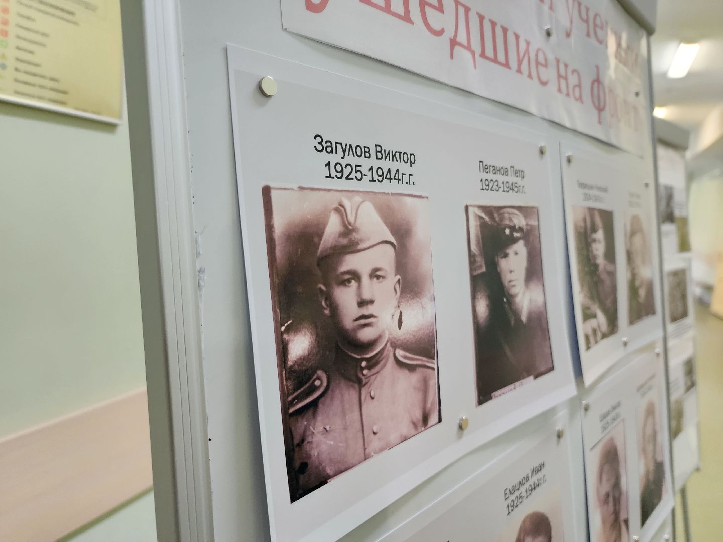 красноармейск, городской округ пушкинский, урок мужества, александр легков,вертикалки,