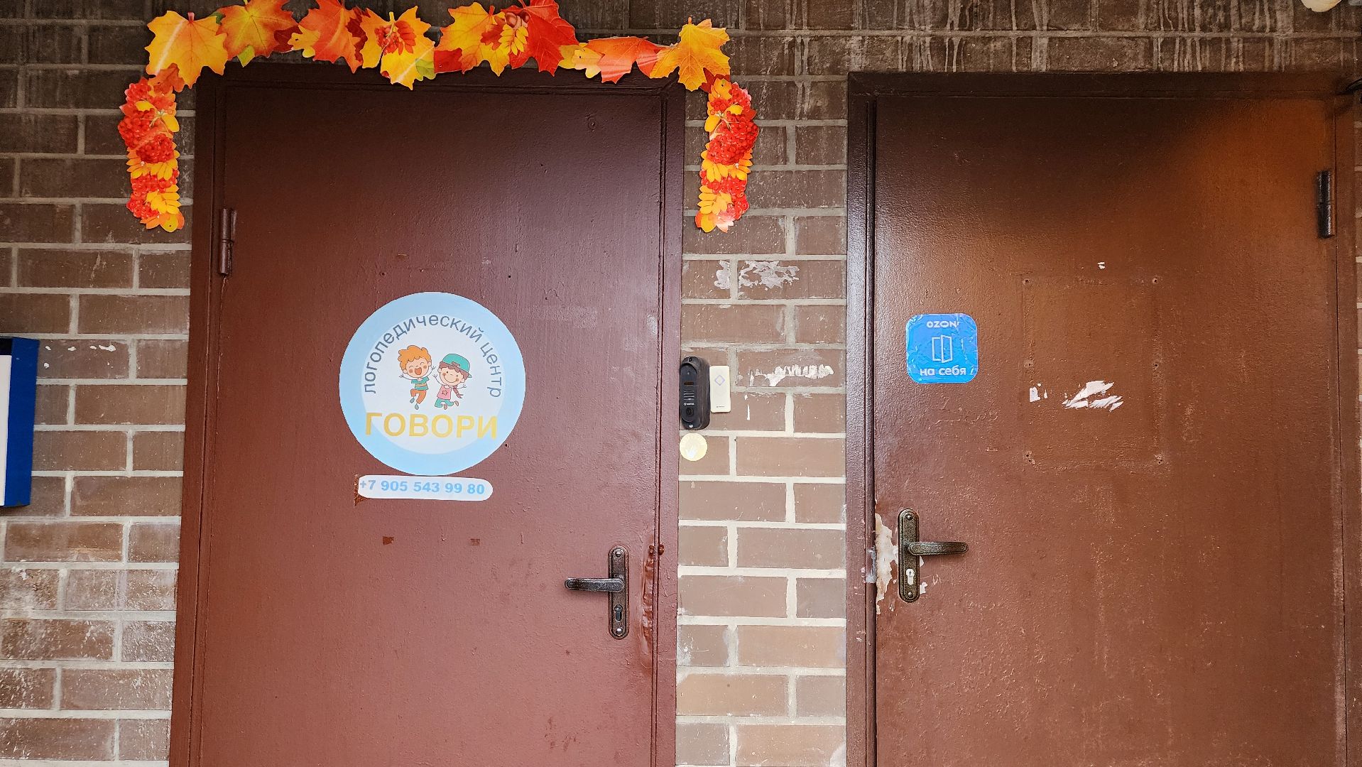 образование, семейная школа, семейное обучение, Старая Купавна, Богородский городской округ,