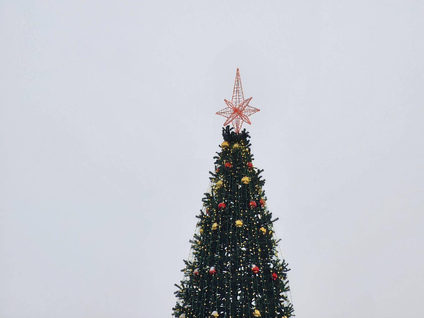 Одинцово, благоустройство, елка, баранка, новый год, вертикалка, вертикальное видео,