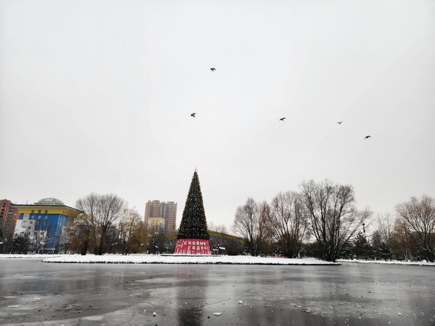 Одинцово, благоустройство, елка, баранка, новый год, вертикалка, вертикальное видео,