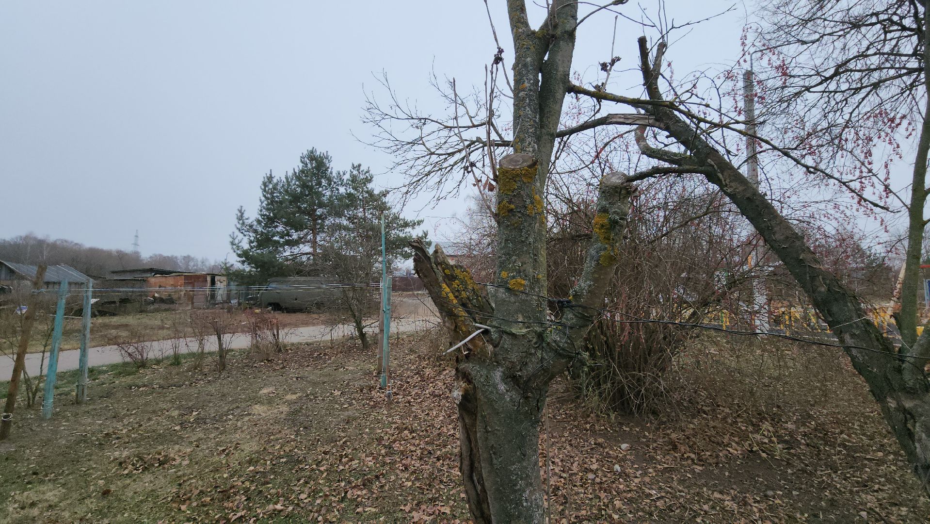 кашира, выездная администрация, уборка веток, упавшие деревья,