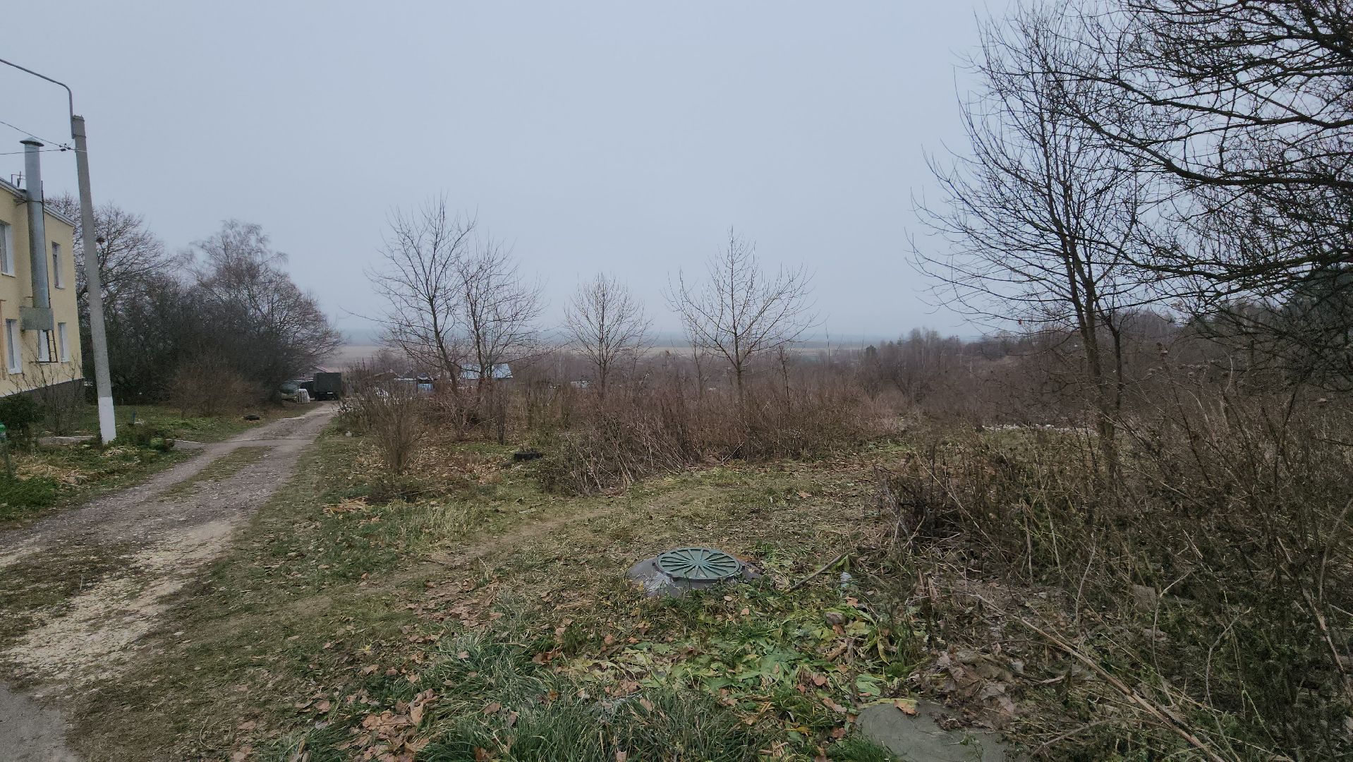 кашира, выездная администрация, уборка веток, упавшие деревья,