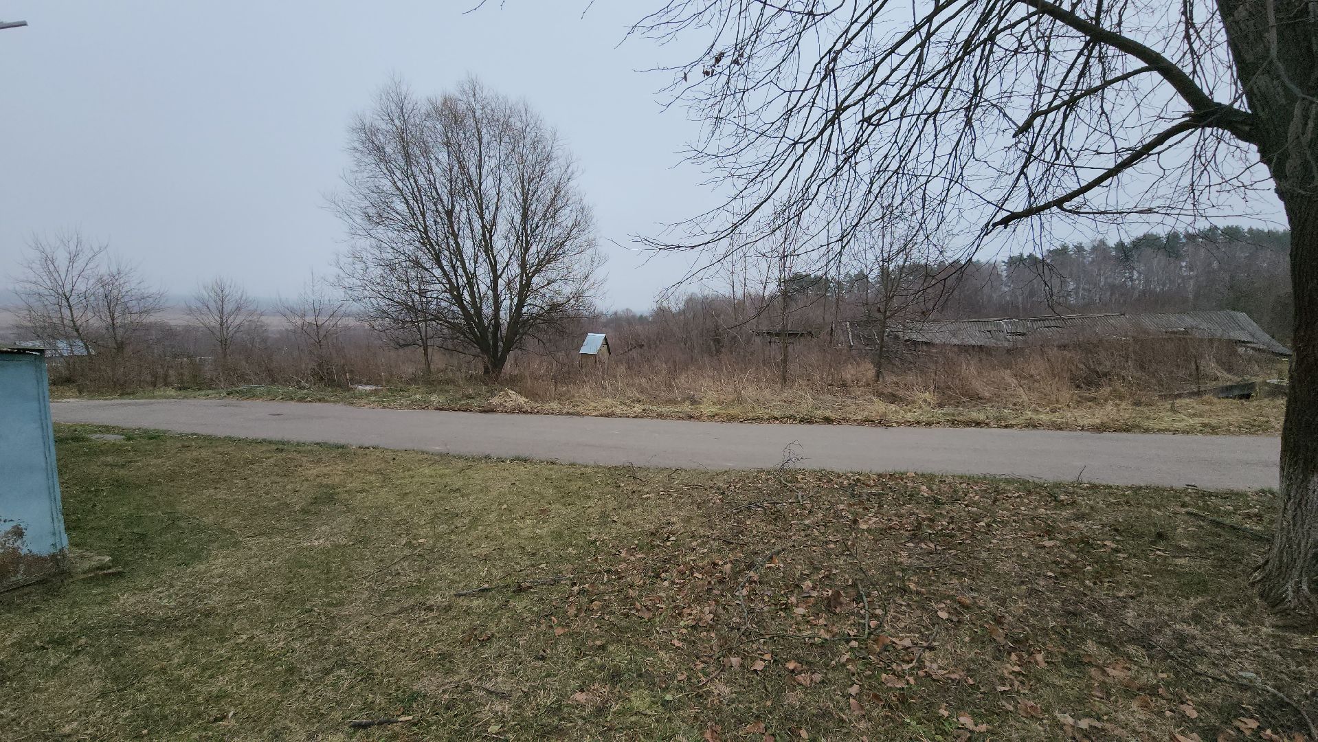 кашира, выездная администрация, уборка веток, упавшие деревья,