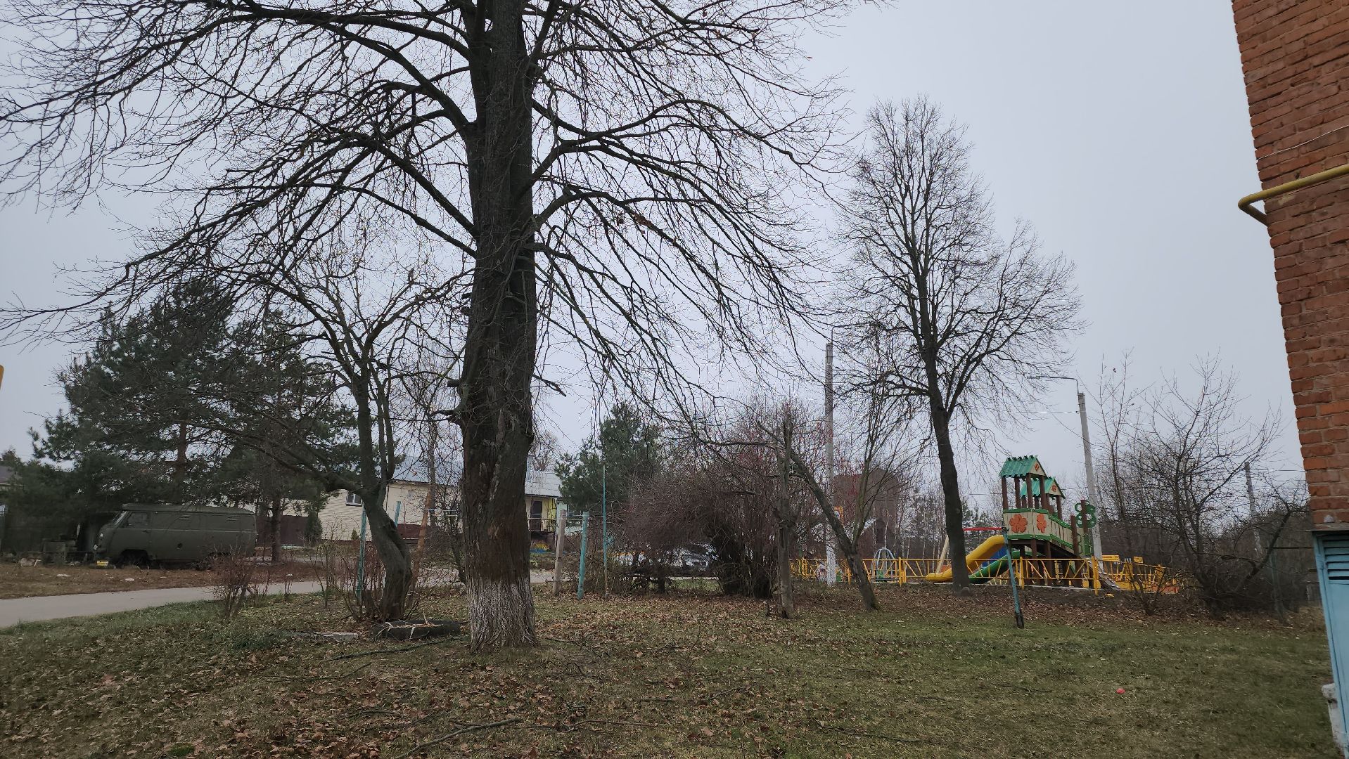 кашира, выездная администрация, уборка веток, упавшие деревья,