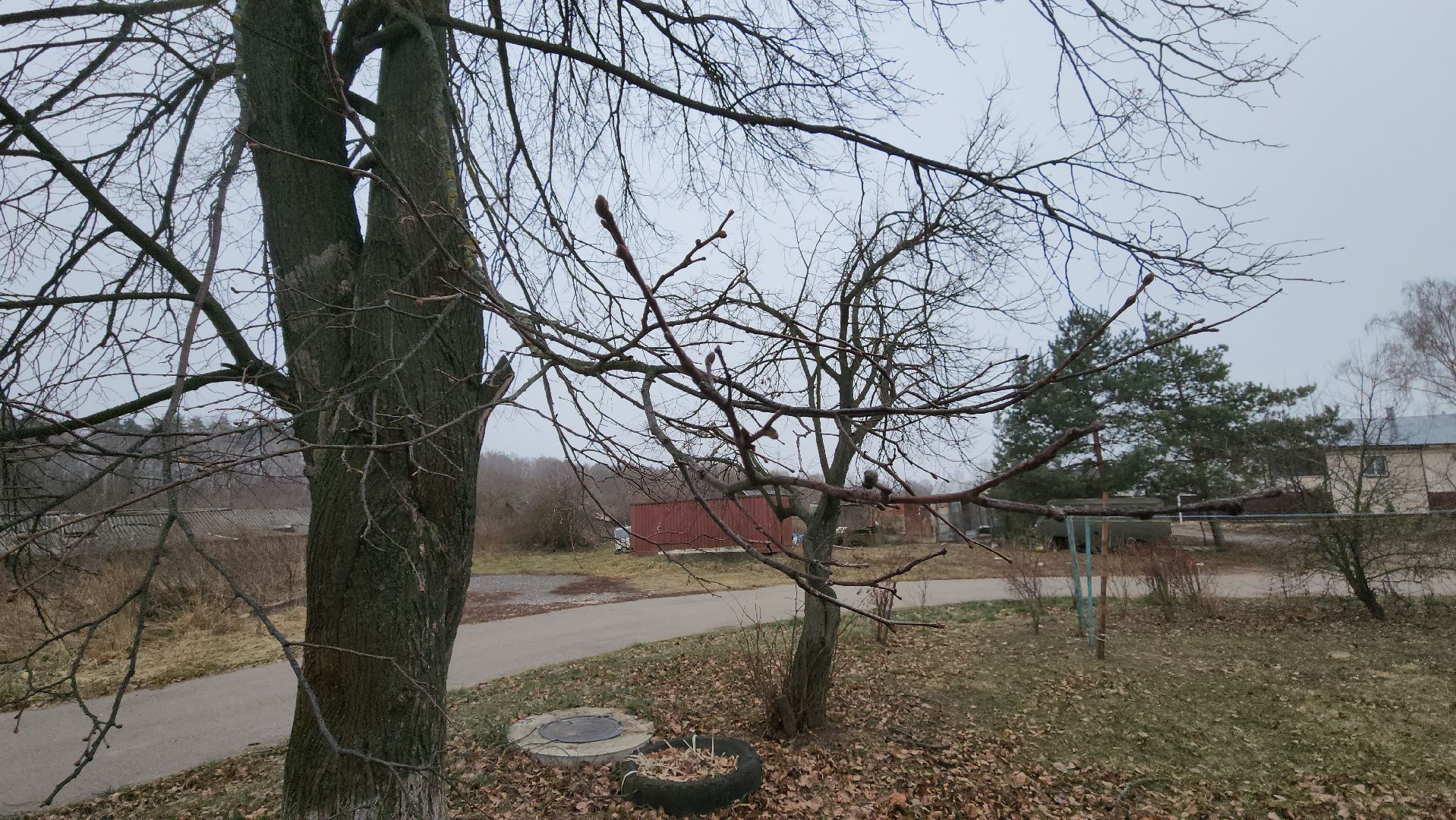 кашира, выездная администрация, уборка веток, упавшие деревья,