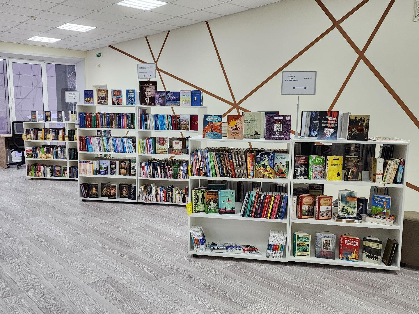 красноармейск, городской округ пушкинский, бибилотека, вертикалки,