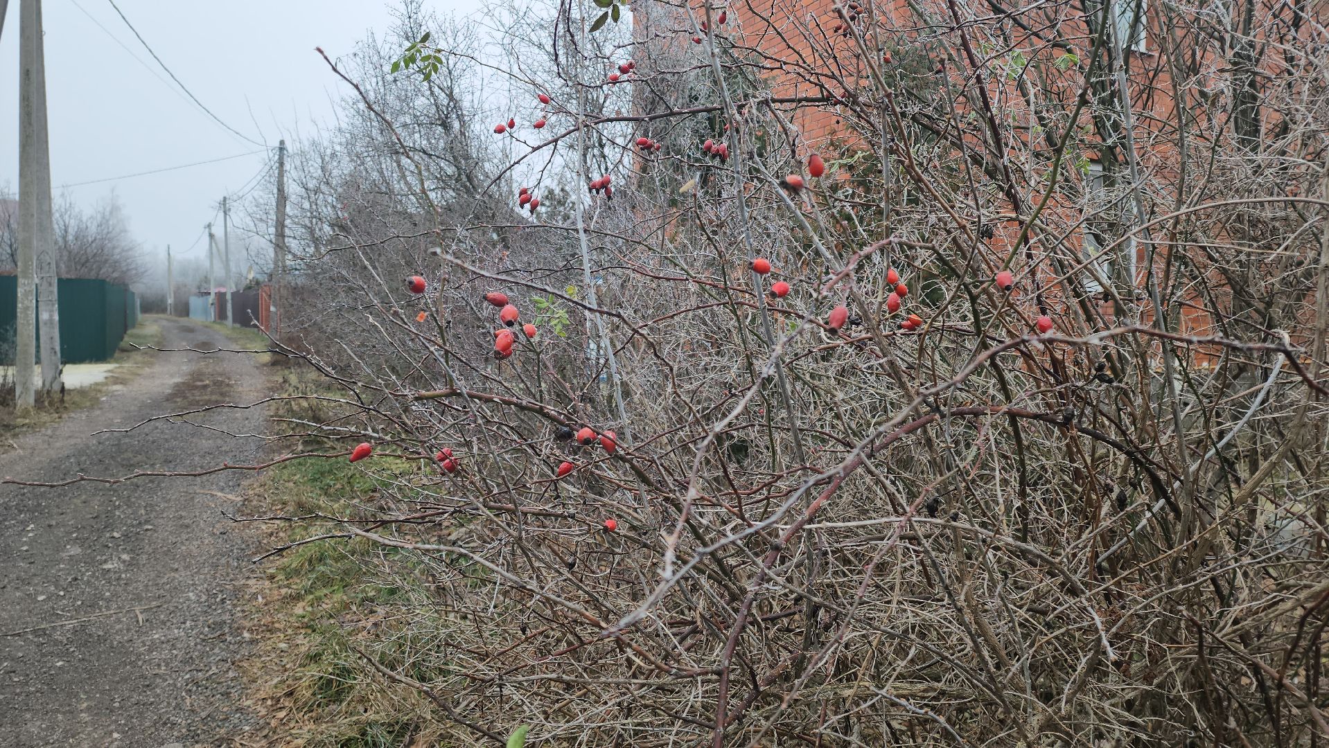кашира, выездная администрация, ремонт дороги, освещение улиц,