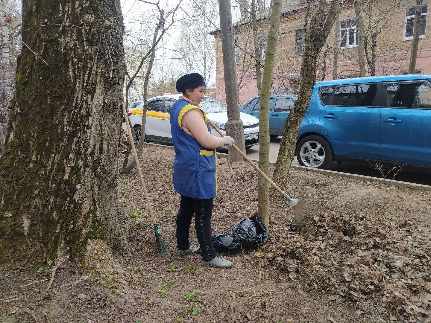 Благоустройство, придомовая территория, уборка, листва