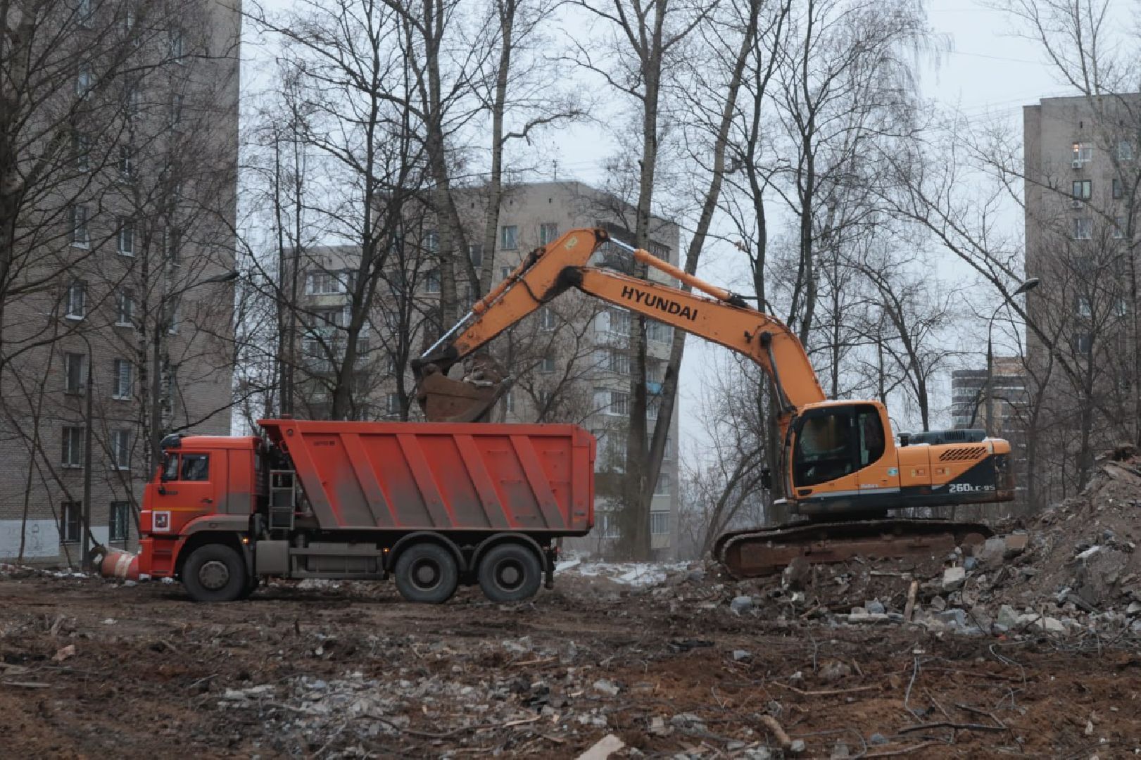 лыткарино, благоустройство, парк, усадьба лыткарино, история, вертикалка,