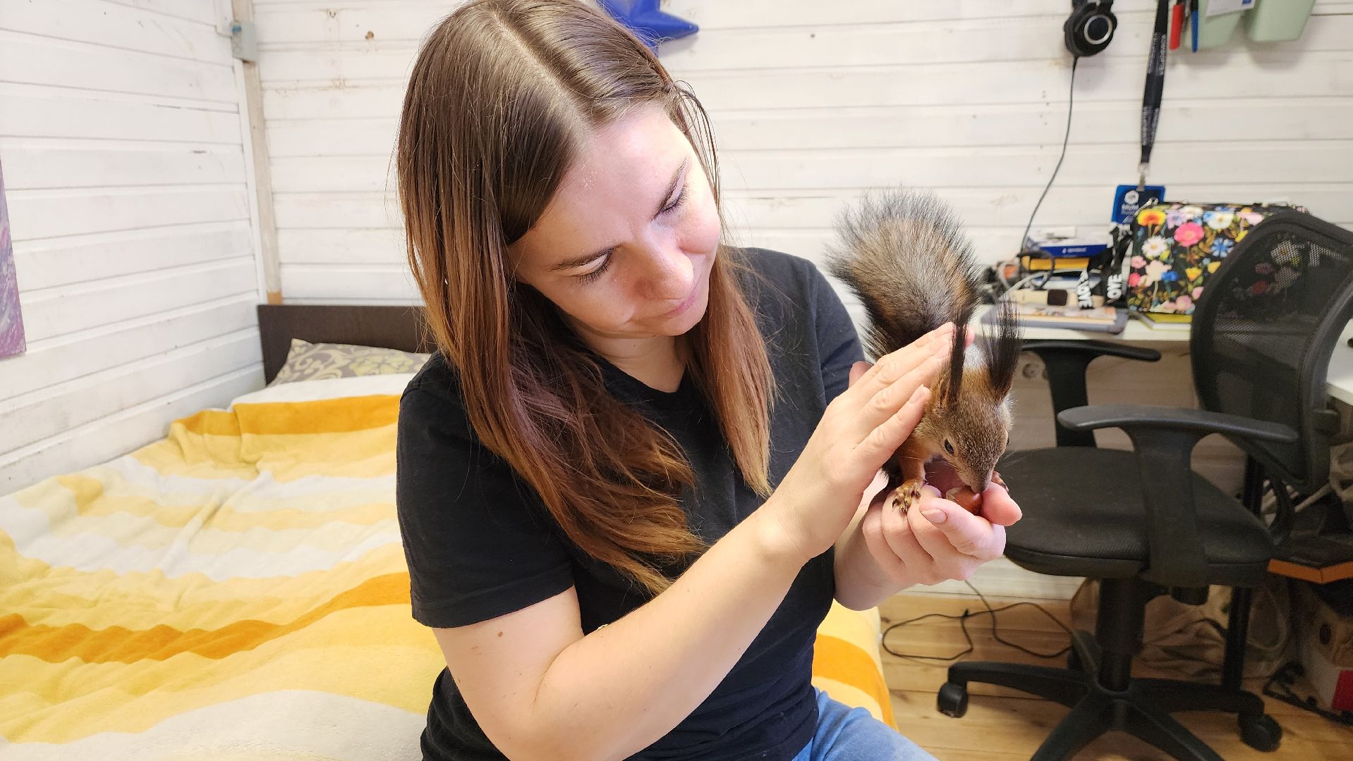 вертикалки, солнечногорск, благотворительность, редкие виды животных,