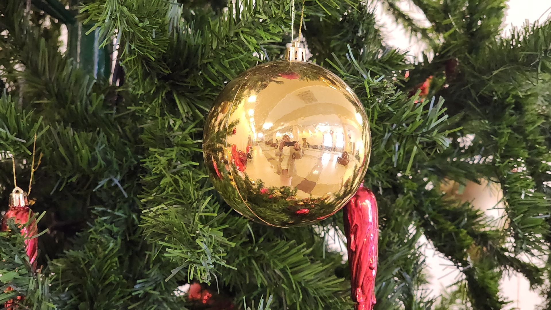 Ершово, Подготовка к новогодним праздникам, Туризм, вертикалка, вертикальное видео,