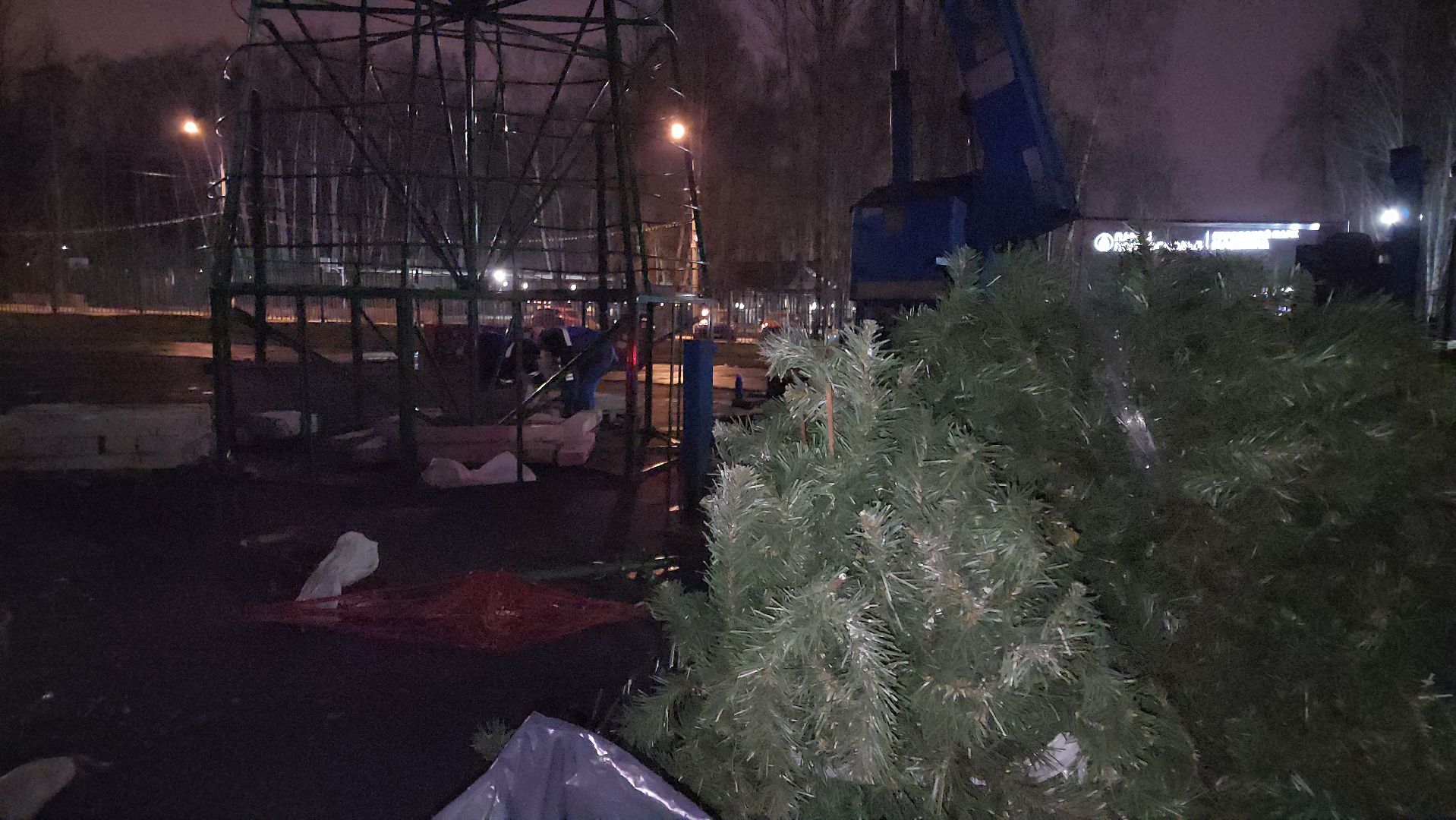 кашира, благоустройство, новогодняя ель, вертикалки,