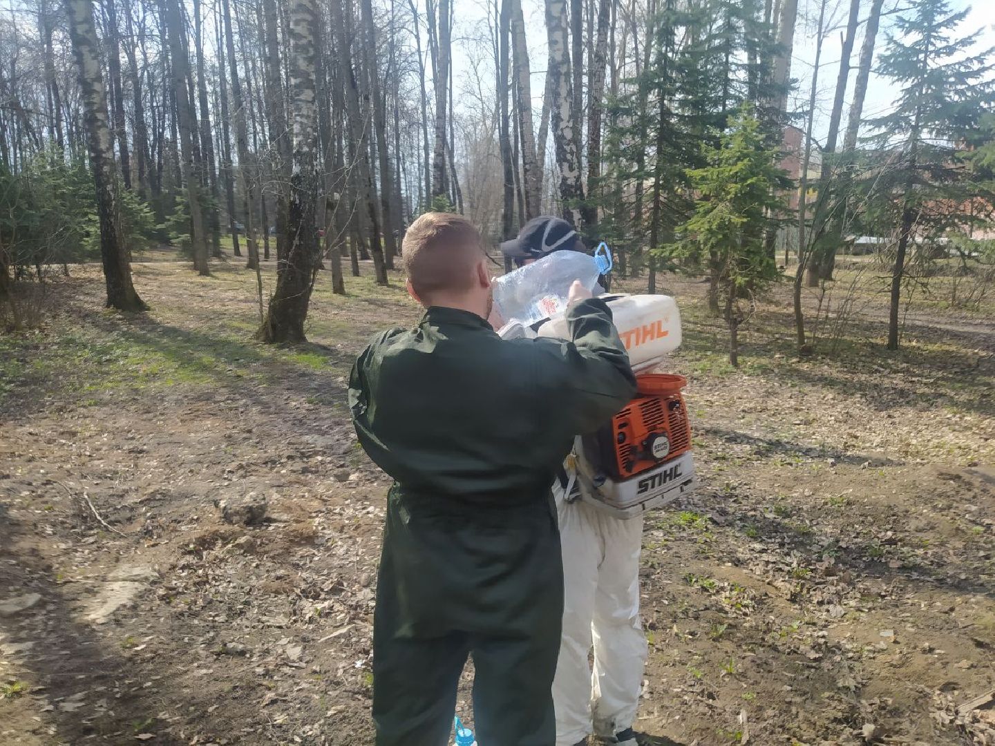 клещи, санобработка, безопасность, парки, животные