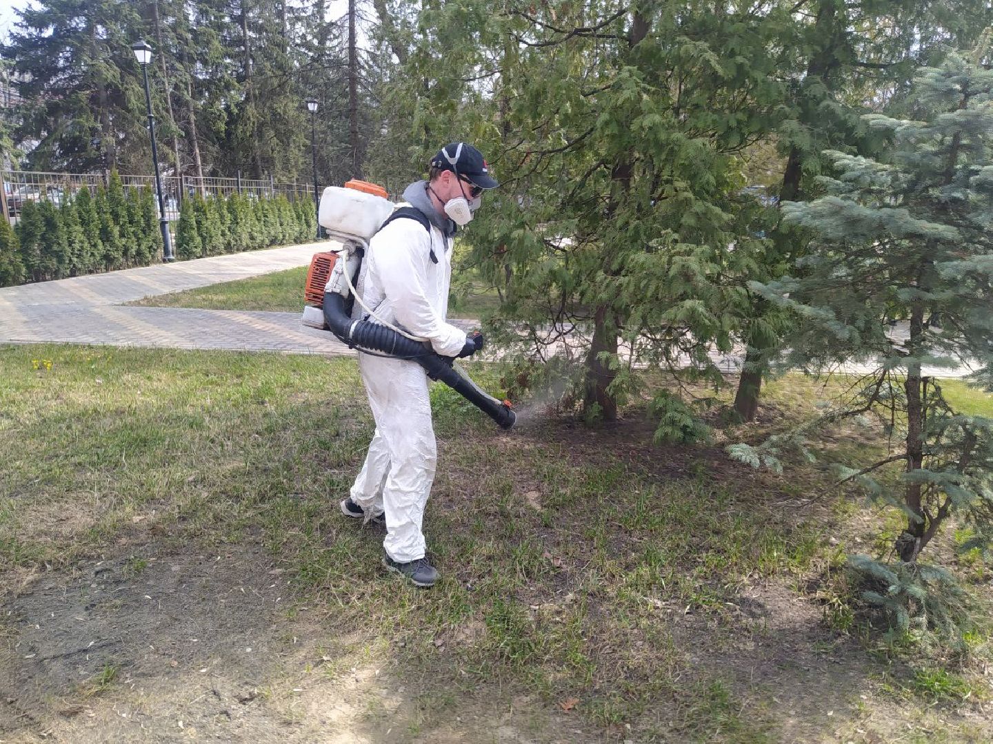 клещи, санобработка, безопасность, парки, животные