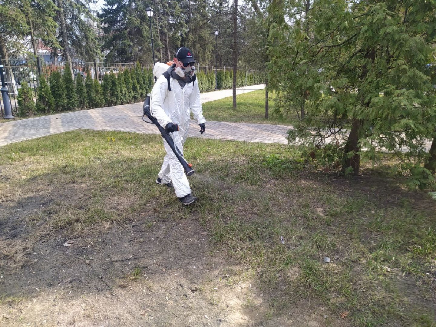 клещи, санобработка, безопасность, парки, животные