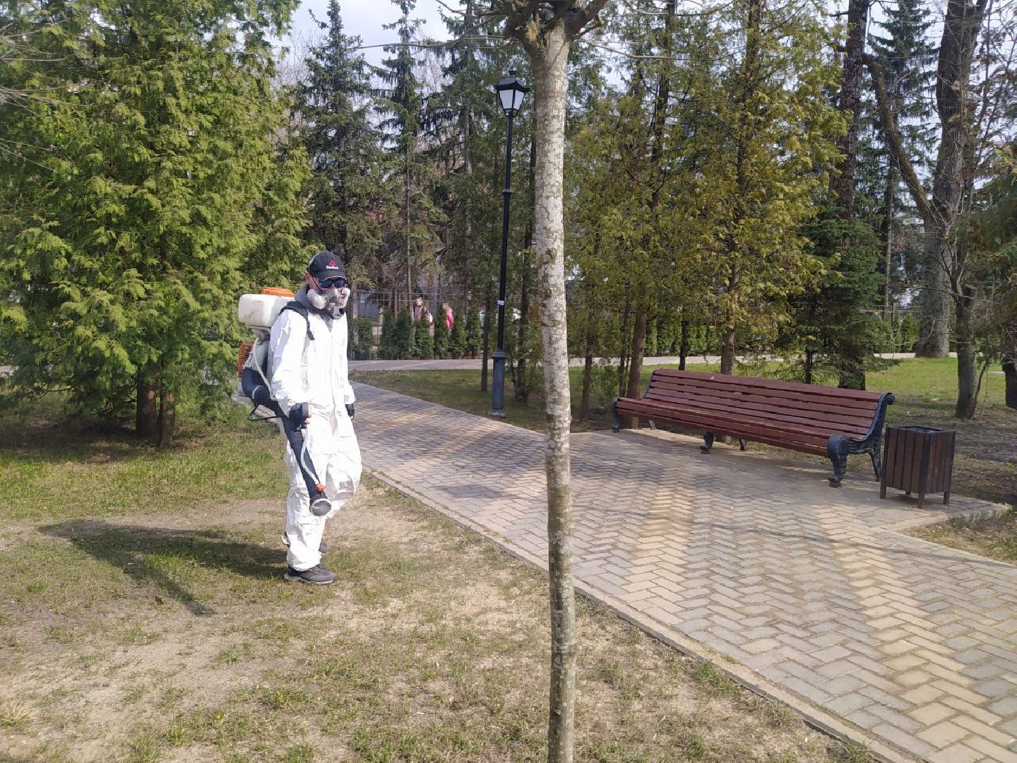 клещи, санобработка, безопасность, парки, животные