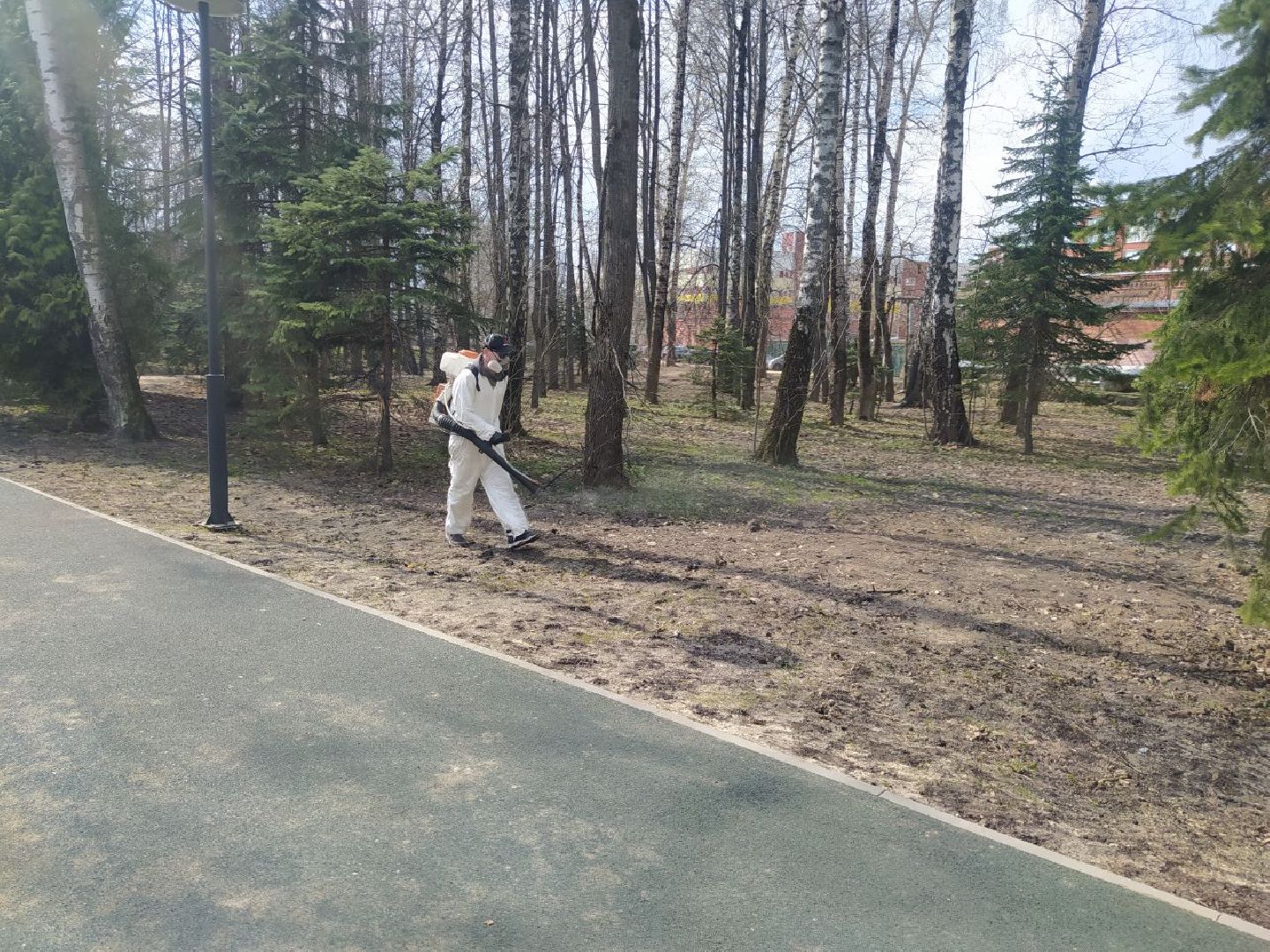 клещи, санобработка, безопасность, парки, животные