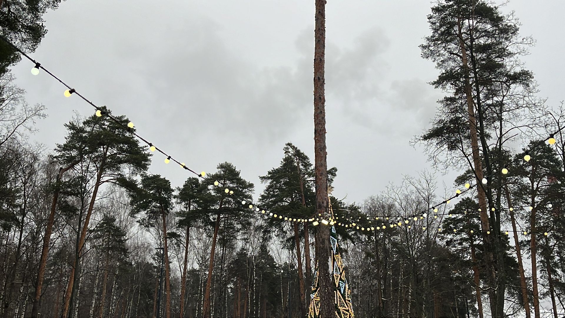 парк, парки, парки балашихи, парк пехорка, зима, зимний сезон,