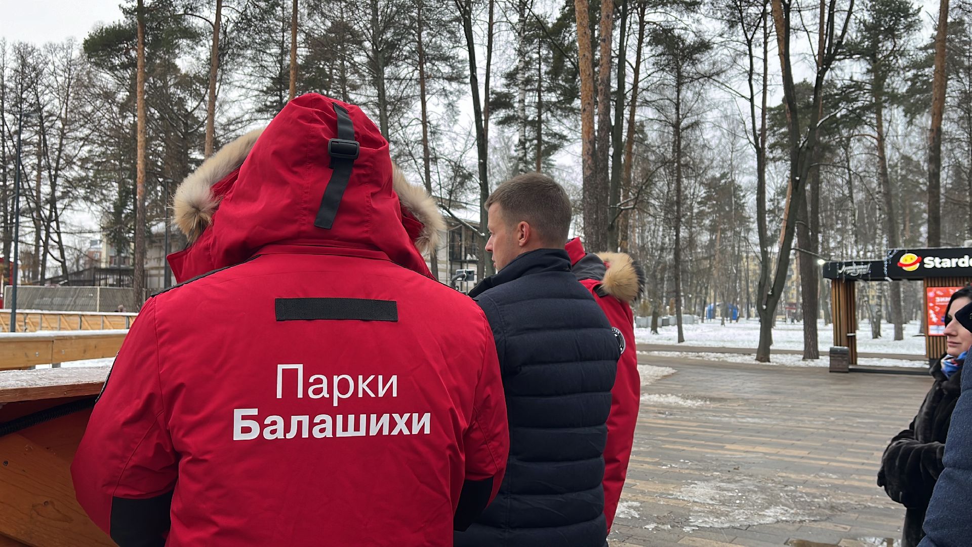 парк, парки, парки балашихи, парк пехорка, зима, зимний сезон,