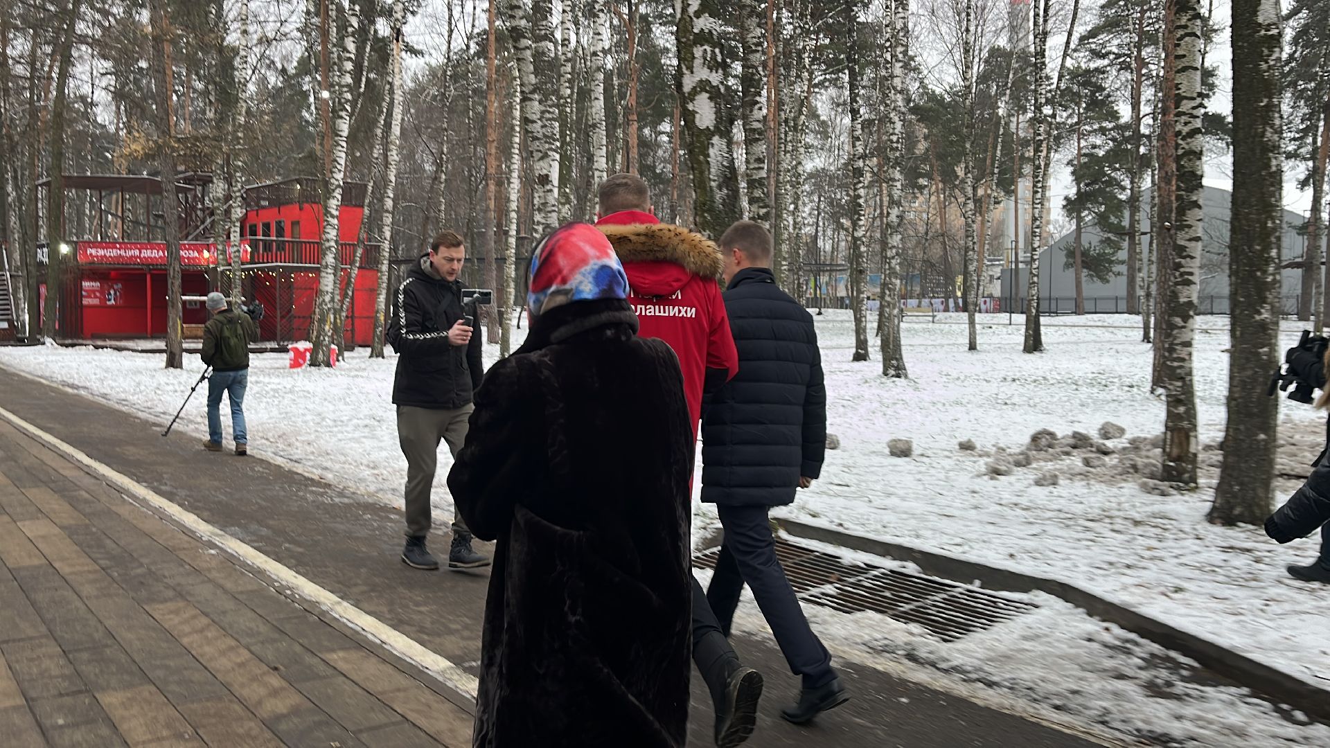 парк, парки, парки балашихи, парк пехорка, зима, зимний сезон,