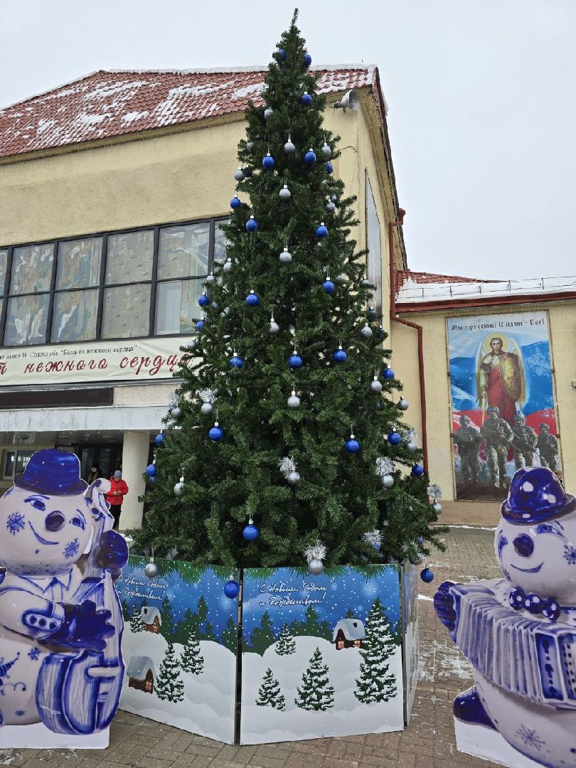 можайск, можайский городской округ, подмосковье, благоустройство, новый год, новогодняя елка, украшение города к новому году, праздник, вертикалки,