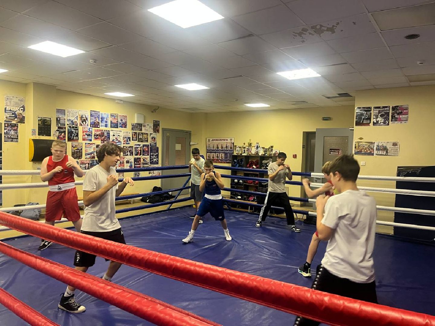 Бокс, Спорт, Тренировки, Соревнования,