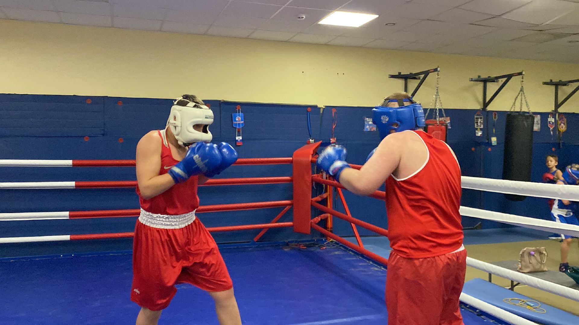 Бокс, Спорт, Тренировки, Соревнования,