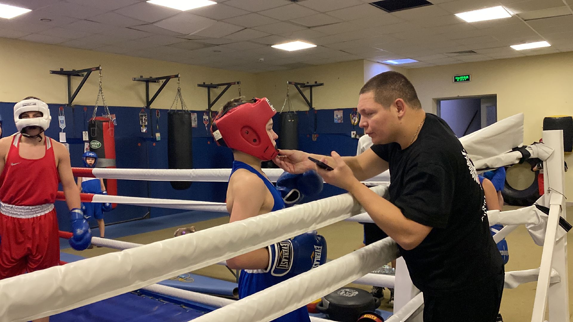 Бокс, Спорт, Тренировки, Соревнования,