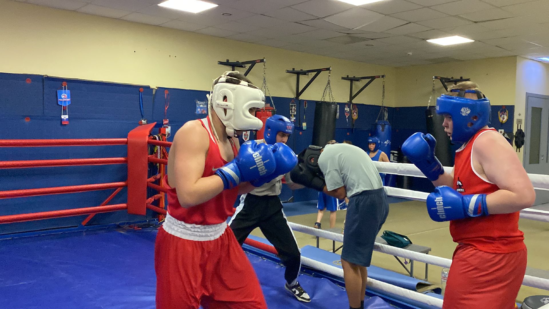 Бокс, Спорт, Тренировки, Соревнования,