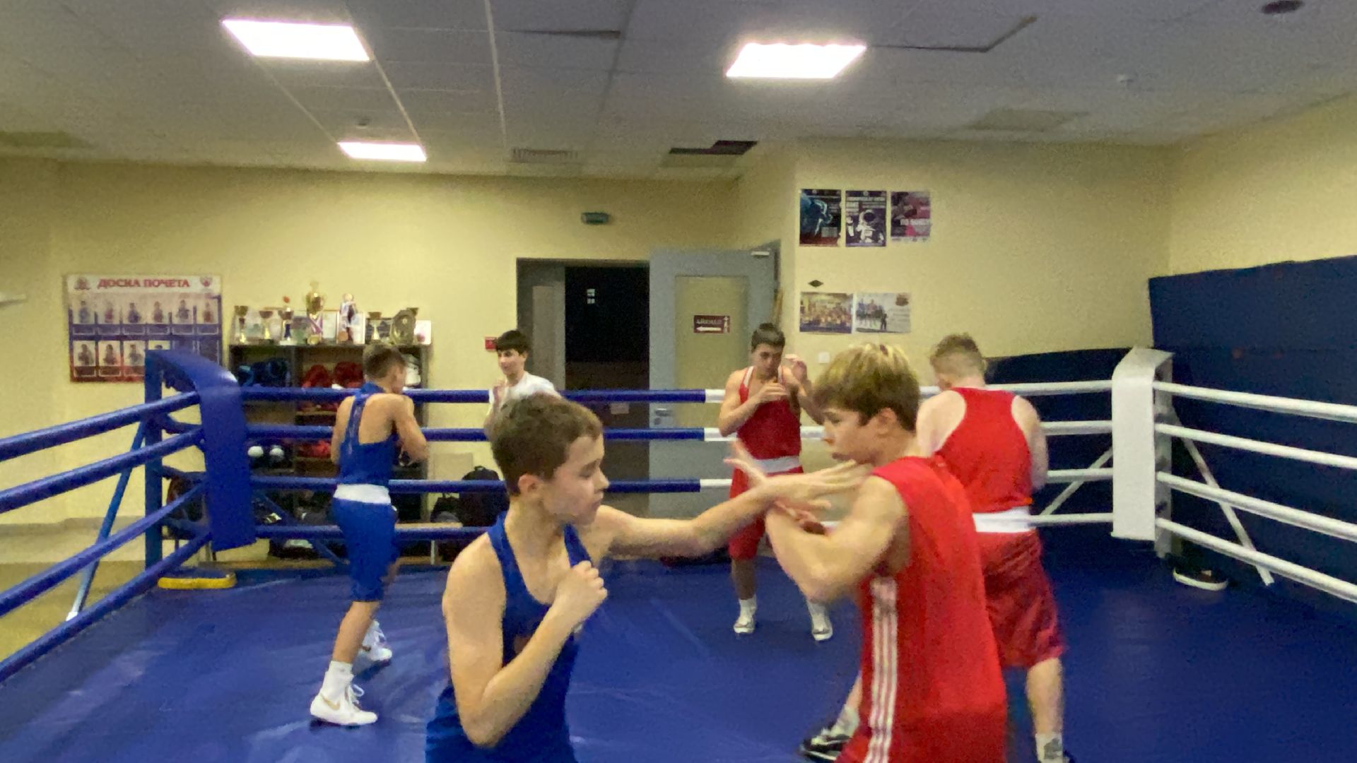 Бокс, Спорт, Тренировки, Соревнования,