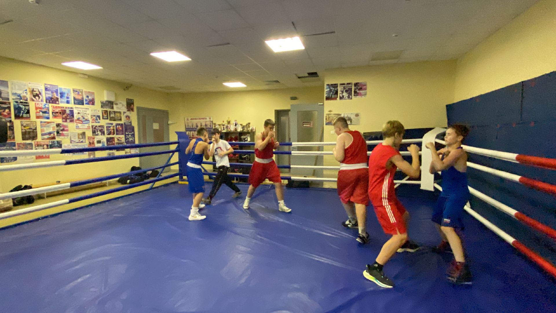 Бокс, Спорт, Тренировки, Соревнования,