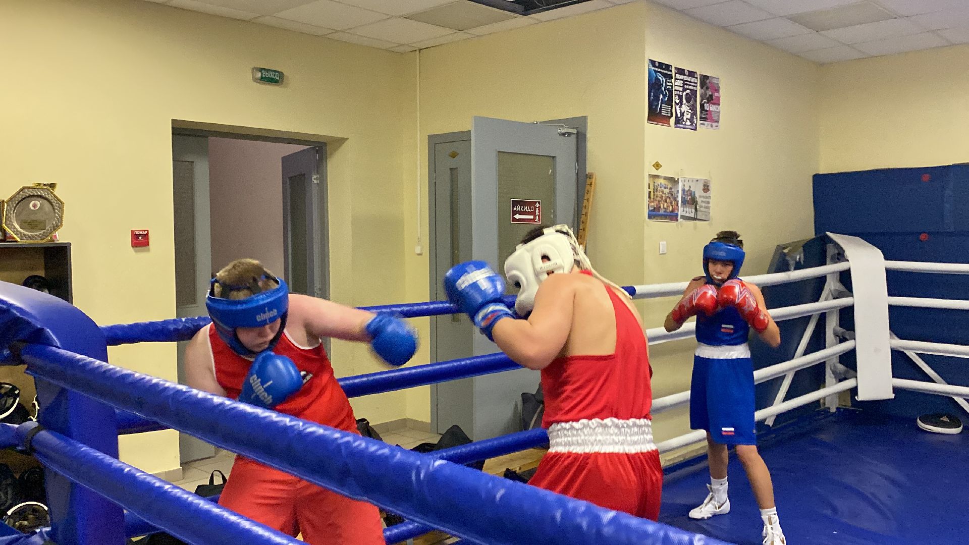 Бокс, Спорт, Тренировки, Соревнования,