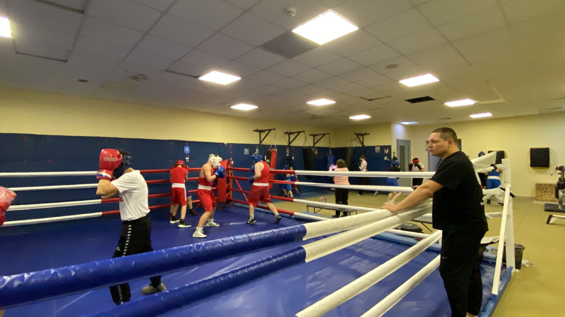 Бокс, Спорт, Тренировки, Соревнования,