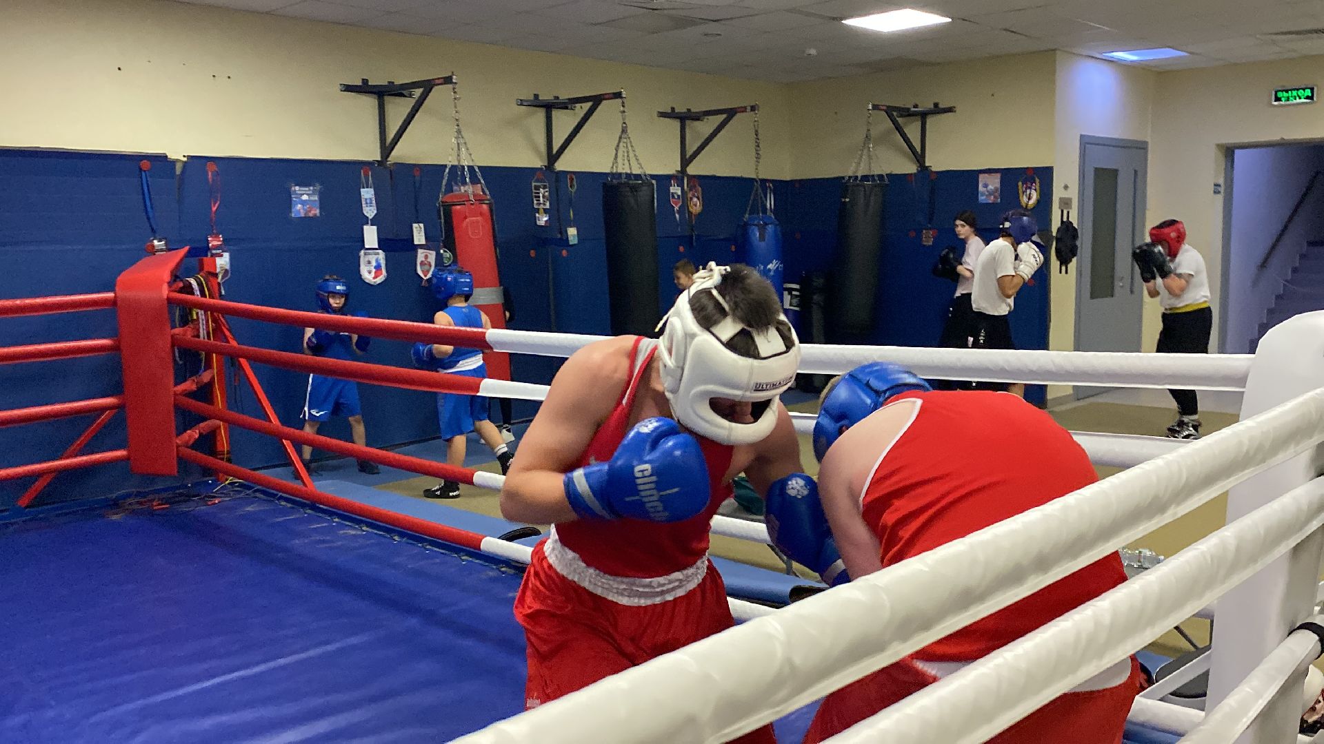 Бокс, Спорт, Тренировки, Соревнования,