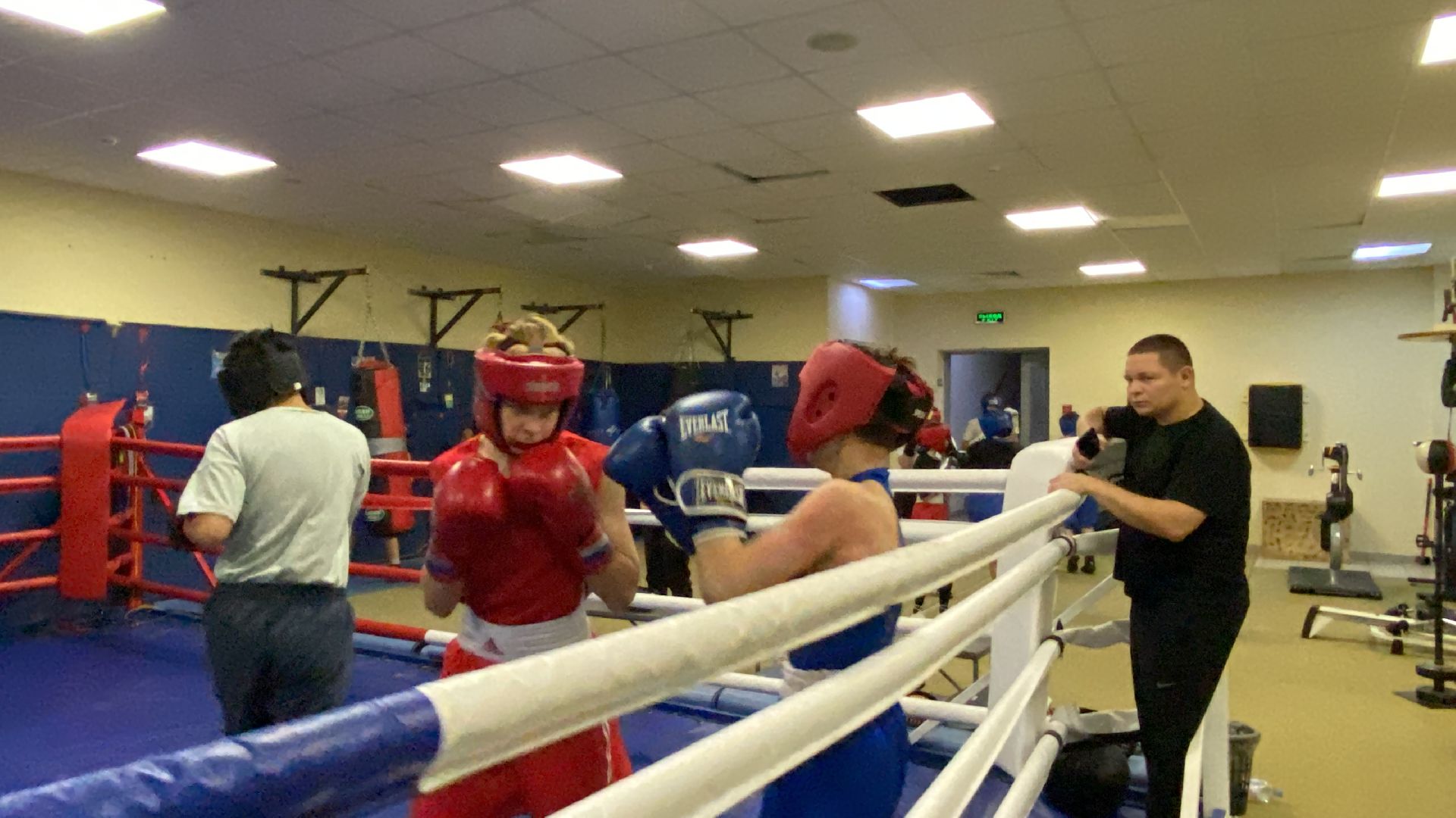 Бокс, Спорт, Тренировки, Соревнования,