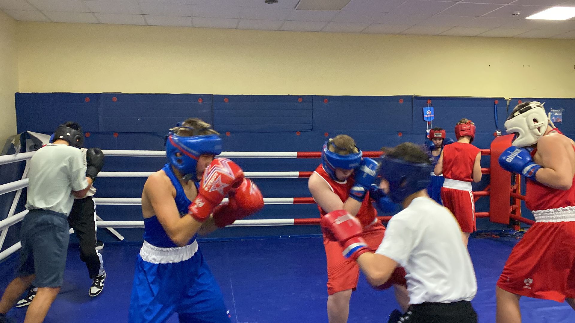 Бокс, Спорт, Тренировки, Соревнования,