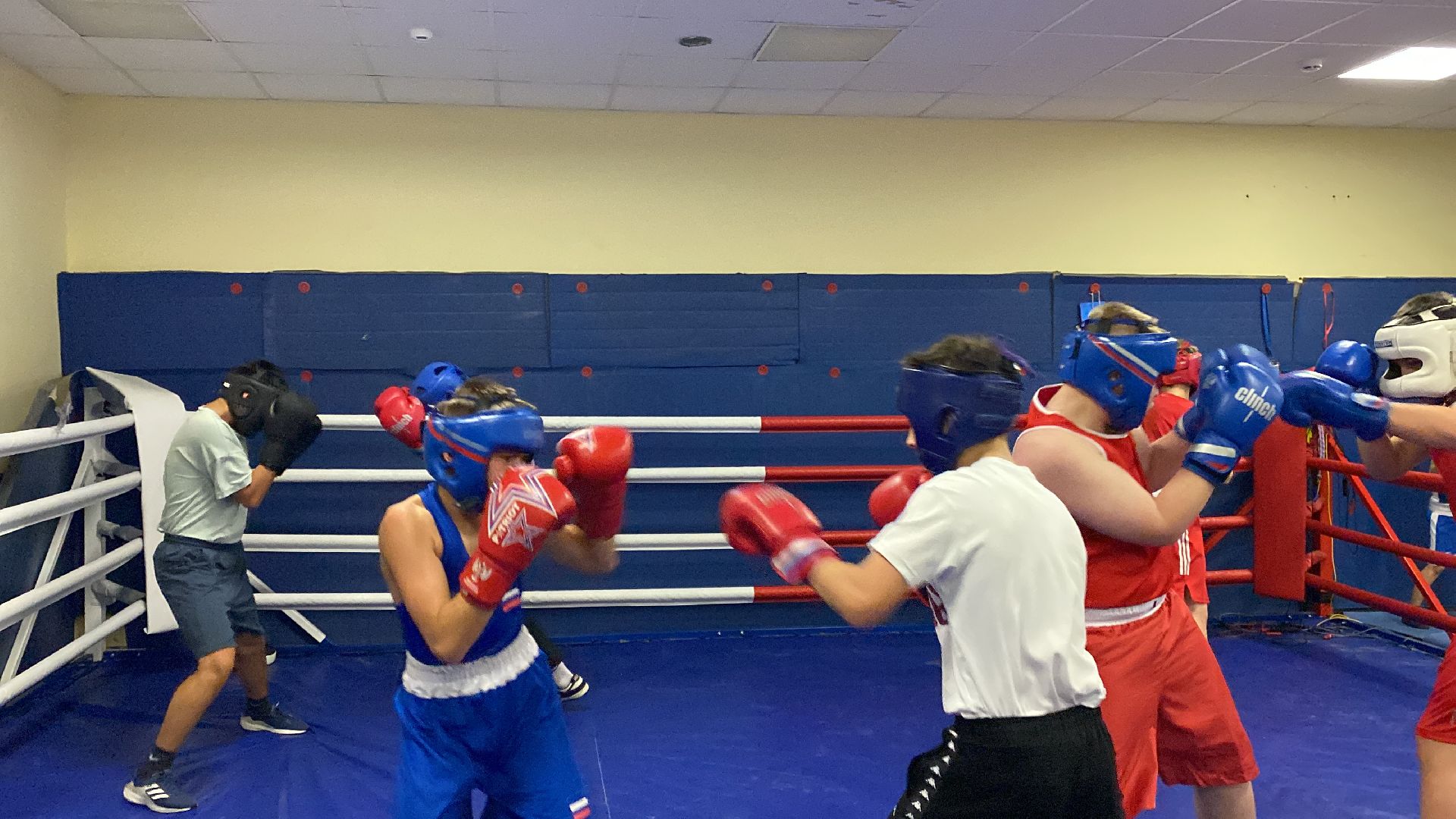 Бокс, Спорт, Тренировки, Соревнования,