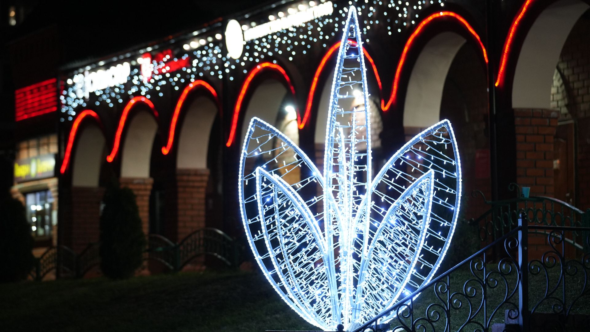 вертикалка, зима в подмосковье, световые инсталляции,