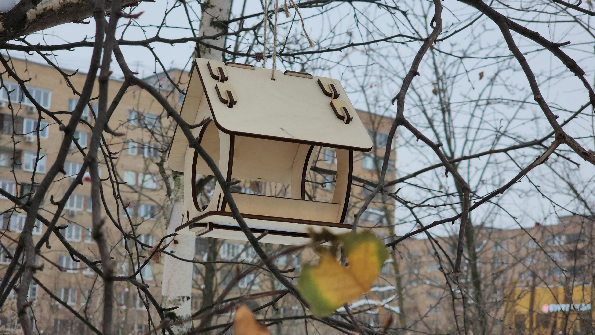 Подкормка птиц, кормушки, Зима, Лобня, вертикалки,