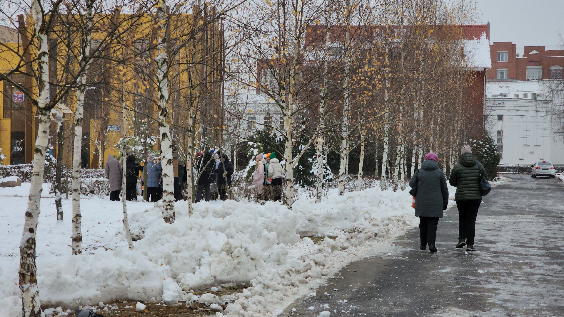 Подкормка птиц, кормушки, Зима, Лобня, вертикалки,