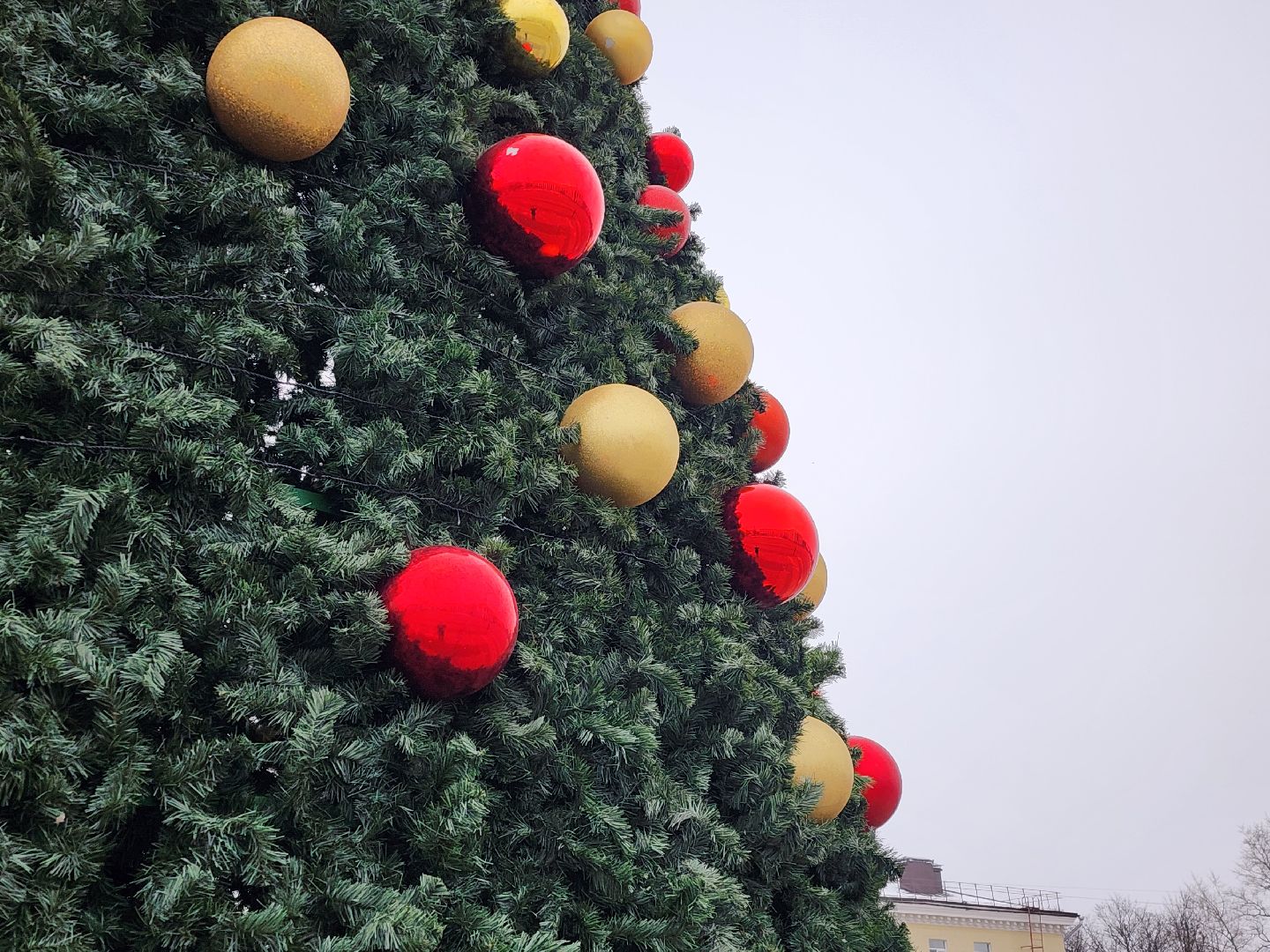 вертикалки, королёв,