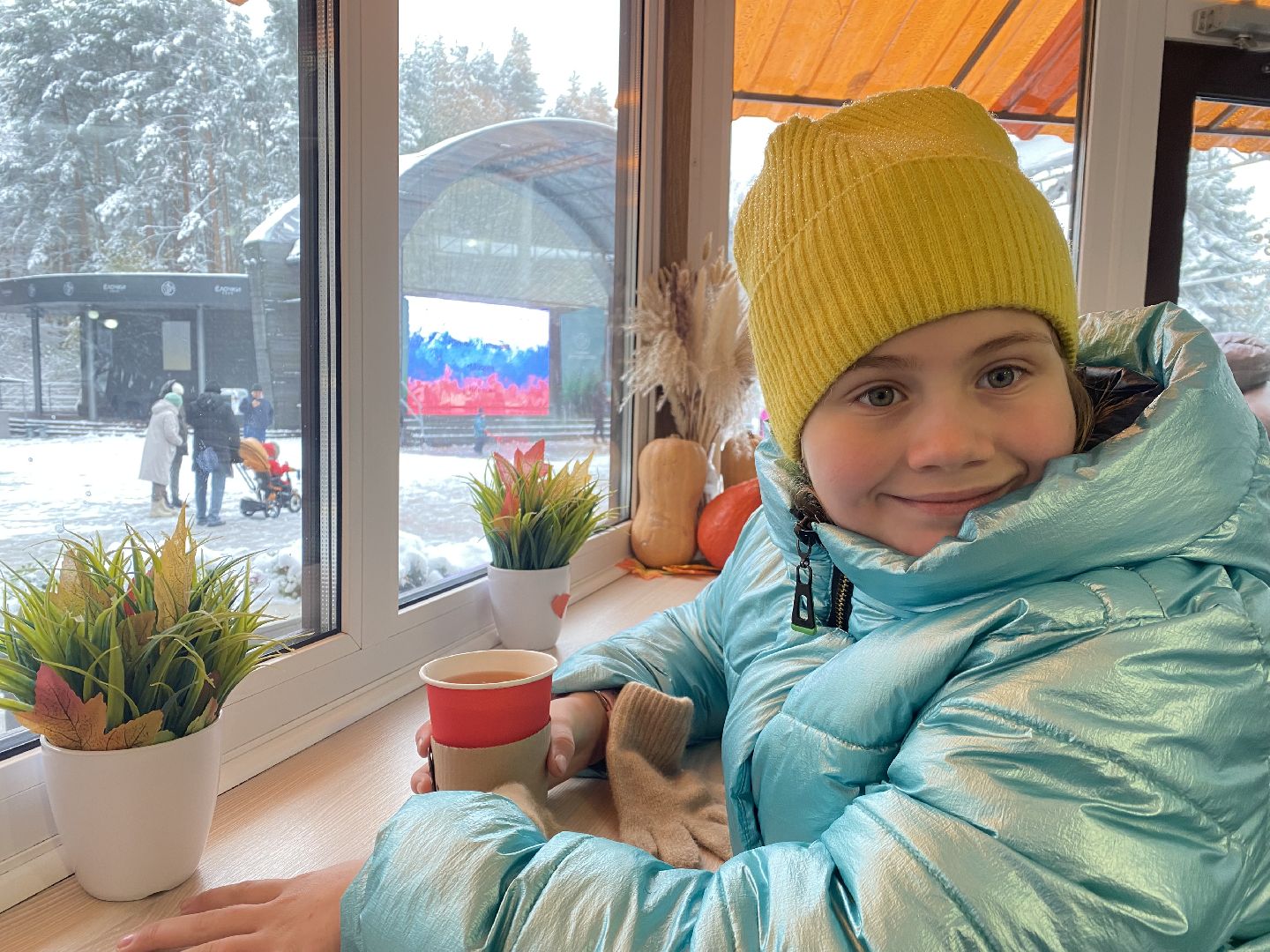 зима в парках, зима в подмосковье, Домодедово, Парк Елочки, Подмосковье, выбор жителей, Зимний сезон,