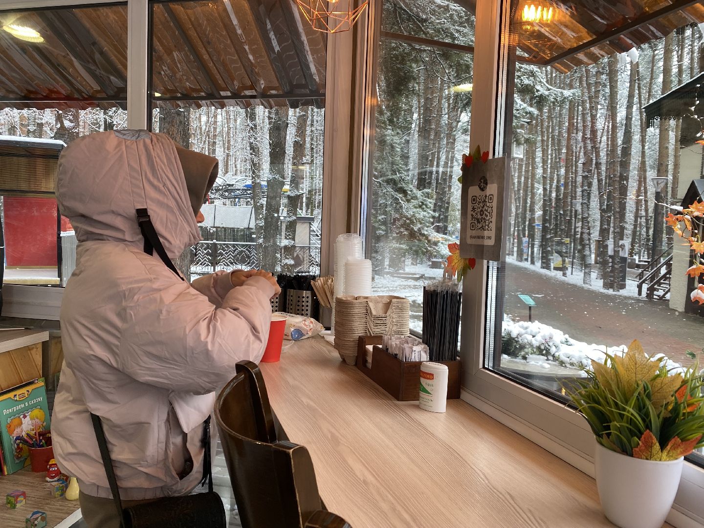 зима в парках, зима в подмосковье, Домодедово, Парк Елочки, Подмосковье, выбор жителей, Зимний сезон,