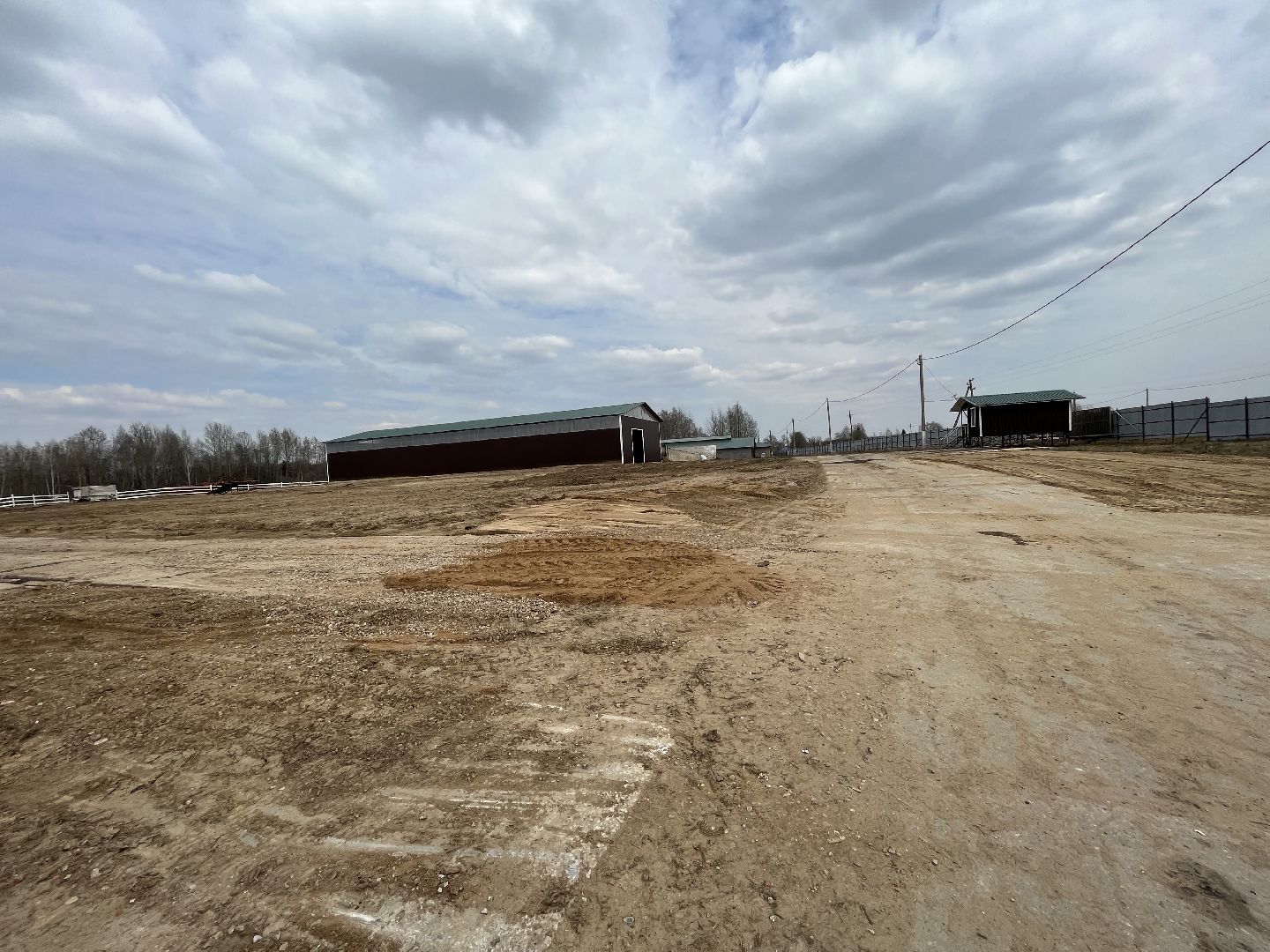 Шаховская, ферма, коровы