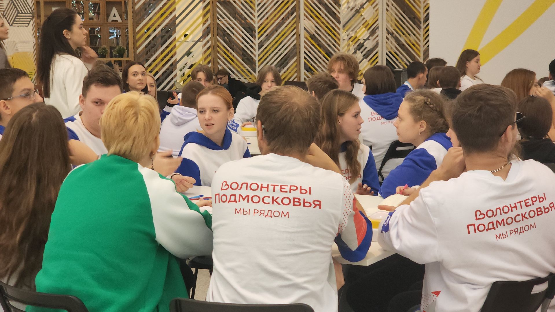 котельники, волонтеры, игра, квиз, cамый умный,