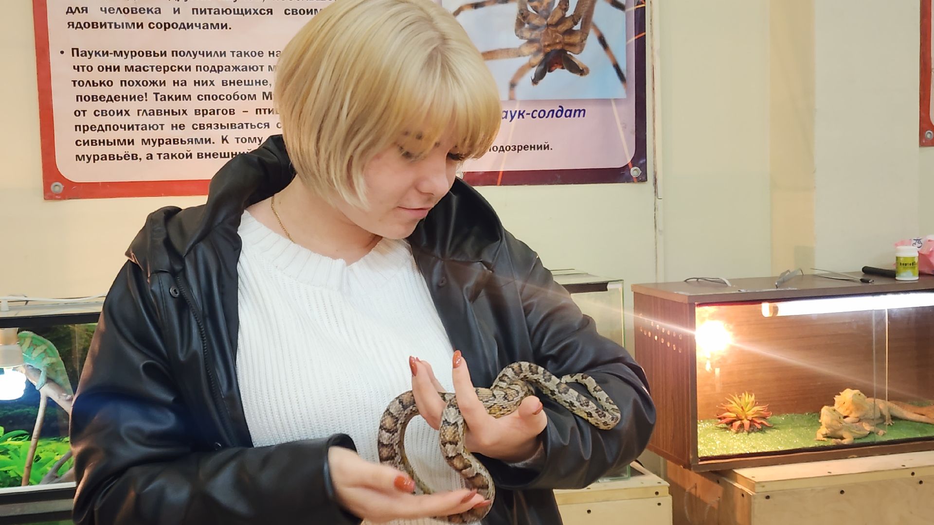 Звенигород, Вертикалка, Туризм, История, Культура, открытие зимнего сезона,зима в Подмосковье,